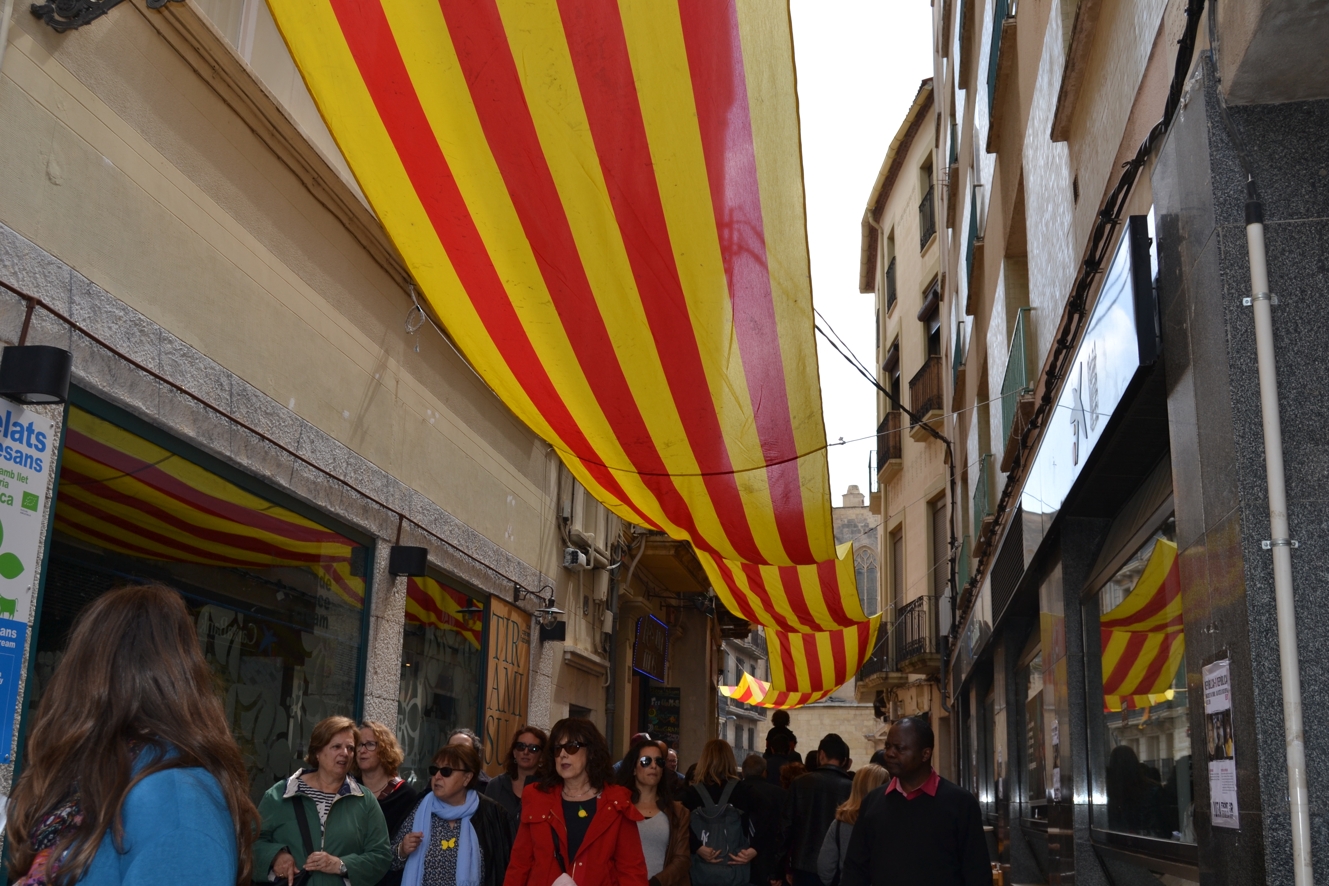 Imatge senyera plaça del Castell Sant Jordi 2019 Reus