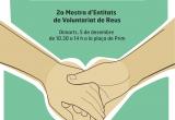 Cartell del Dia del Voluntariat