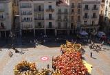 Els escolars recreen la figura del Lleó de Reus amb l'Hola Sant Pere