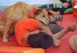 El contacte i la interacció amb gossos, una de les activitats destacades del Casal d’Estiu Adaptat