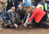 L’Ajuntament i el Centre de Lectura amplien al Pi del Burgar la plantació de roserars a les escoles