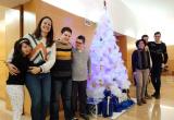 Arbre de Nadal de Benestar