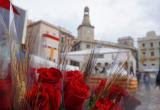 Sant Jordi 2022 Mercadal roses