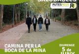 Cartell Rutes Saludables