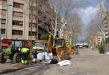 Imatge de la replantació de plataners al passeig de Sunyer de Reus