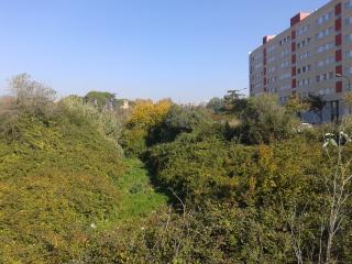 Barranc de la Font dels Capellans abans dels treballs