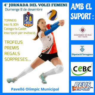 Cartell Volei Femení