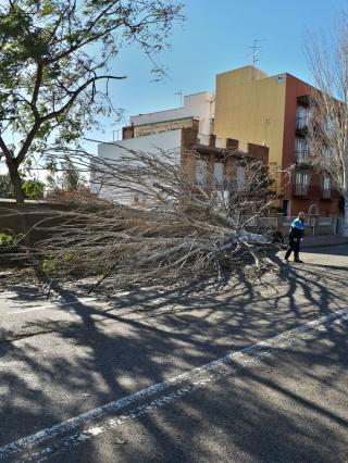 Les actuacions de la Guàrdia Urbana a causa del vent