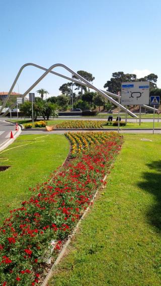 Imatge de plantacions florals en una rotonda de la ciutat