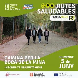 Cartell Rutes Saludables