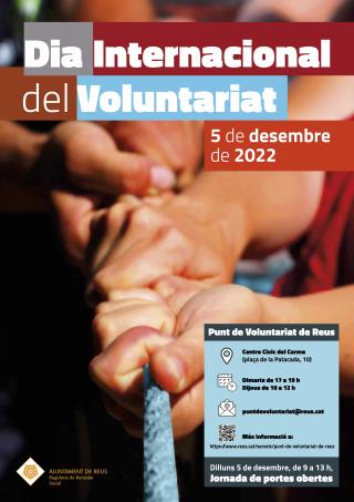 Cartell Dia Internacional del Voluntariat