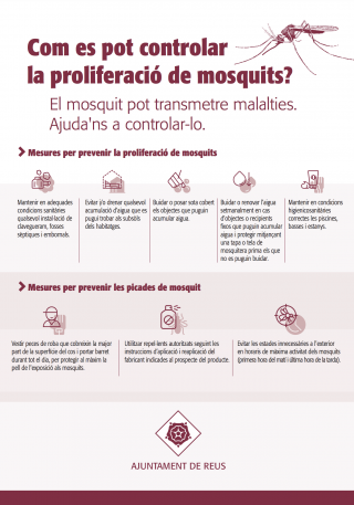 Consells per evitar la proliferació de mosquits