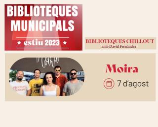 Biblioteques Chillout 2023