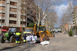 Imatge de la replantació de plataners al passeig de Sunyer de Reus