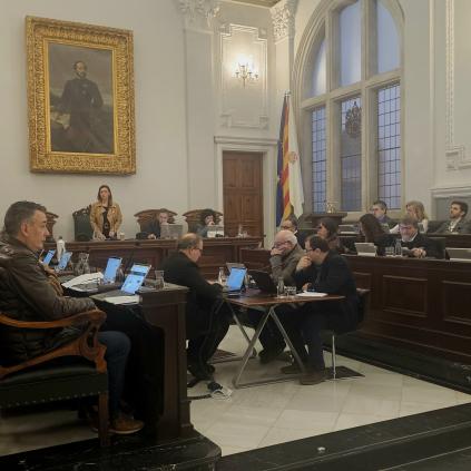 Accede a Pleno del Ayuntamiento de Reus