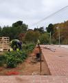 Plantació de jardineria al Parc de les Olors de la Boca de la Mina