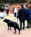 Visita d'entitats del Consell Municipal de la Discapacitat al passeig de la Boca de la Mina