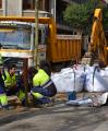 Imatge de la replantació de plataners al passeig de Sunyer de Reus