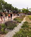 Inauguració del Jardí Agrari del Camp i del Parc de les Olors