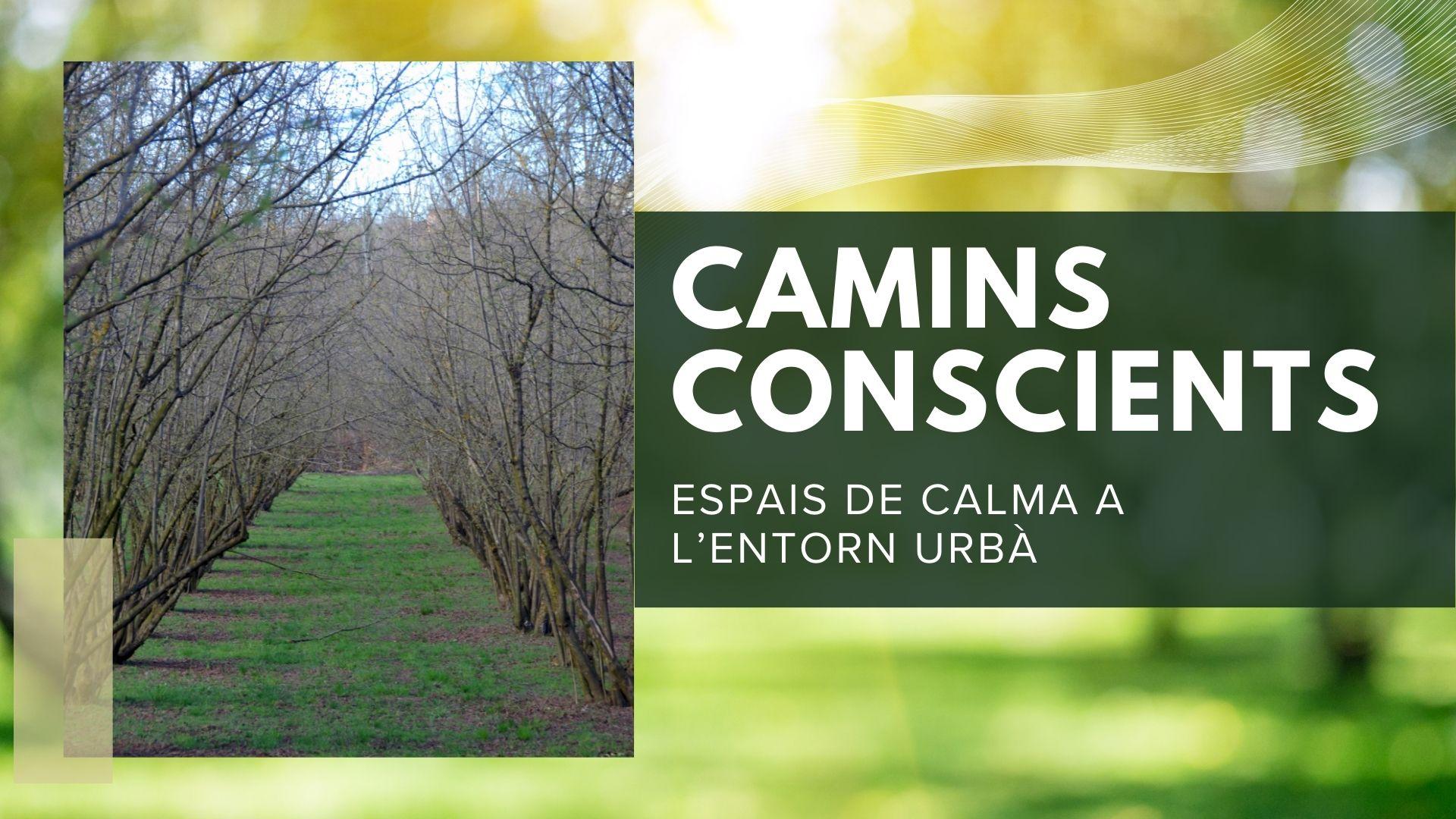 Camins conscients. Mindfulness per nens