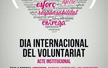 Cartell del Dia del Voluntariat