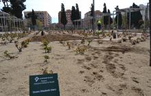 Imatge dels treballs que es porten a terme al roserar del parc de Mas Iglesias de Reus