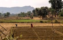 Projecte de promoció de l'agricultura sostenible a les comunitats rurals empobrides d'Udaipur (Índia)