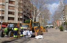 Imatge de la replantació de plataners al passeig de Sunyer de Reus